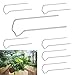 Greening Pins