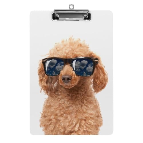 Nbv{[h A4 c^ TOXgC v[h t@C{[h Ǌ|  ₷ v{[h Ď^т₷  [ cpbh pi  wZ ƒpoC_[