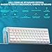 AULA WIN60 HE Mechanische Gaming Tastatur mit Kabel,Hall Effect Magnetic Switches,Rapid Trigger,Einstellbare Betätigung,60% RGB Tastatur für PC/Mac