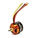 Spektrum Avian 3536-1200Kv Outrunner Brushless Motor, SPMXAM4620