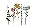 Produktbild Thinlits Stanzschablonen 5 Stk - Wildblume Stielen #1 von Tim Holtz