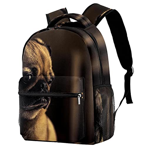 Sac à dos de voyage pour campus scolaire et sorties weekend en famille