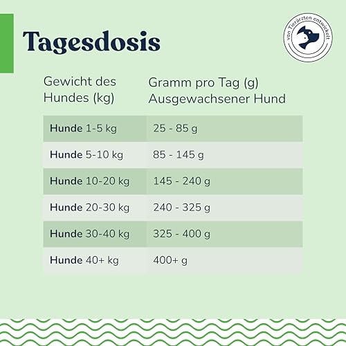 felmo Premium Trockenfutter für Hunde (2 KG) mit 50% Ente – Süßkartoffel & Orange – ohne Zucker- und Getreidezusatz – enthält essenzielle Vitamine, Präbiotika & Omega-Fettsäuren – leicht verdaulich