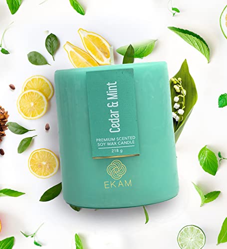 Image of EKAM Cedar & Mint Pillar Soy Wax Scented Candle, 218 Grams, 30 Hours Burn Time, Long Lasting Premium Candles, Ideal for Home Decor, Gifting & Aromatherapy