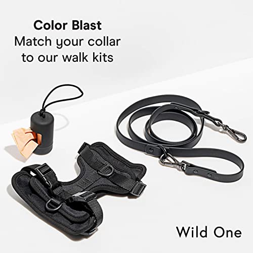 Collar para perro Wild One M negro resistente y fácil de limpiar miniatura 6