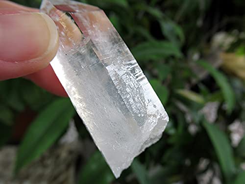 Amazon.co.jp: チタニウムインクォーツ（パスウェイクォーツ）原石