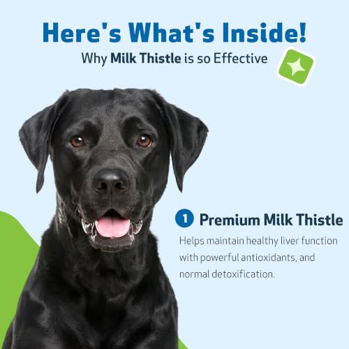 Image of Pet Wellbeing Milk Thistle for Dogs - Liver Detox & Health, 2 oz