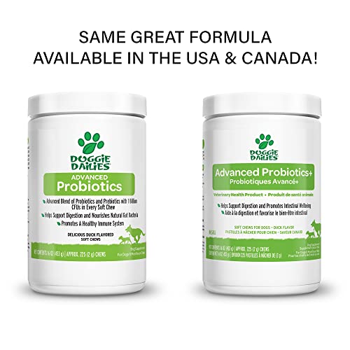 Doggie Dailies Probiotics For Dogs, Advanced Dog Probiotics With Prebiotics, Promotes Digestive Health, Supports Immune System And Overall Health (Duck) #TOP1