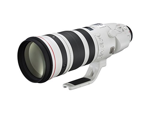 Canon Cameras US 5176B002 EF 200-400mm f/4L is USM Extender 1.4X - Image 4