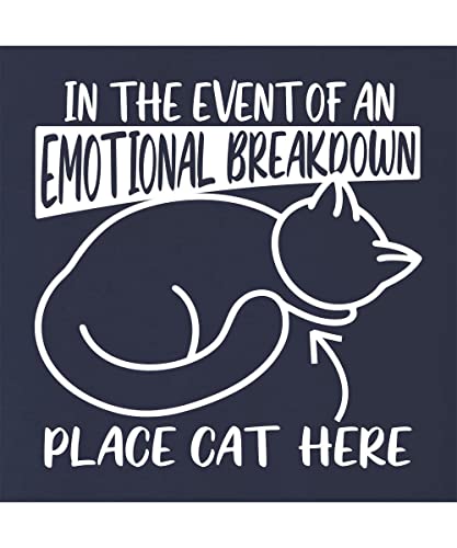 Go All Out in The Event of an Emotional Breakdown Place Cat Here Mens Women Youth T-Shirt2
