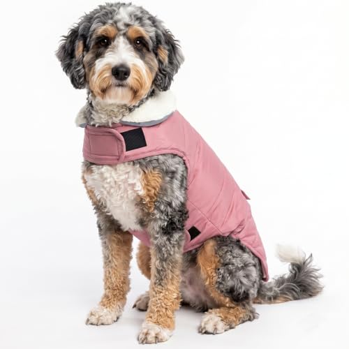 iBuddy Velcro Dog Snow Jacket (L)