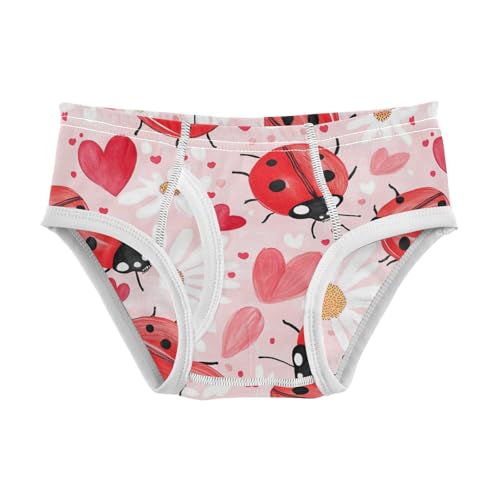 Wusikd Ladybugs Boys' Underwear Cotton Black Dots Boys Briefs Soft Toddler Underwear 2T