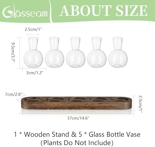 Glasseam Plant Terrarium Propagation Station, Glass Planter Bulb Vase With Wooden Tray, Modern Bud Vases for Living Room Office Decor, Desktop Flower Vase Hydroponics Glass Vase for Plants Cutting