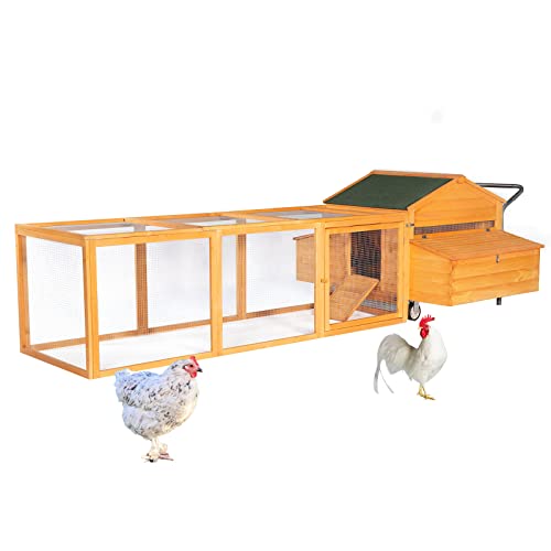 Best Floors For A Chicken Coop Options Right Now
