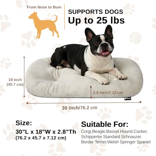 Image of Washable Oval Dog Bedfor Medium Dogs,Silver-Tipped High-Resilience,Beige | Non-Slip Bottom Prevents Sliding, Soft Plush Short Fur, Machine Washable, Ideal for Crates /Apartments /Cozy Nooks,29 inchx18 inchx2.8 inch