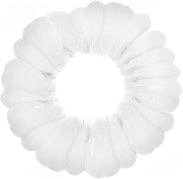 100 Pcs White Feathers for Crafts, White Feather Fantasy Ornament, Natural Goose Feathers for DIY Dream Catchers Earring Wedding Party Art Crafting Gift Box Filling Decoration Crafts