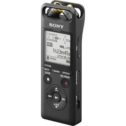 Sony PCM, 2 Portable Studio Recorder, One Size (PCM-A10)