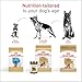 Royal Canin Breed Health Nutrition German Shepherd Adult Dry Dog Food, 30 lb Bag
