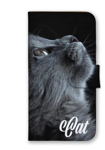 BASIO xCVI ANeBu active SHG09 p P[X 蒠^ Jo[ X}zP[X S@Ή L ˂ ʐ^ 02