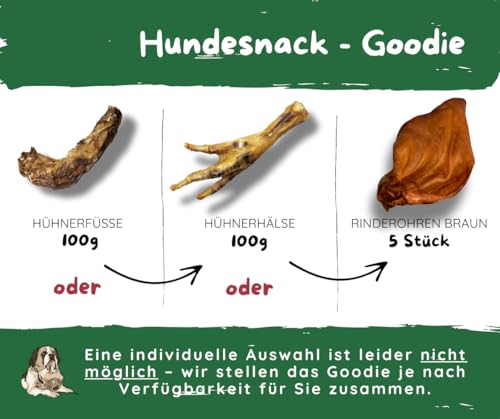 Josera Adult FiestaPlus 2x3kg Bundle – Premium-Trockenfutter mit Geflügel, Gemüse & Muschelextrakt für aktive Hunde + Goodie Natur-Hundesnack von Warnick’s Tierfutterservice