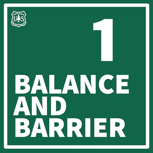 Balance & Barrier: A Slow Explosion of Damaging Forest Insects