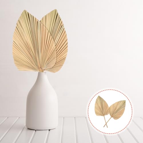 Decoración de hojas de palma secas 2 pcs 30x25 cm natural miniatura 4