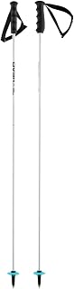 HEAD Unisex Adult Worldcup Rebels Carbon Ski Poles