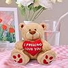 Valentines Day Gifts for Her Women Girlfriend Wife Fiancée - 10 inch Plush Stuffed Animal Teddy Bear Gift for Mom Best Friends Teenage Girls,Presents Ideas for Valentine's,Birthday,Xmas,Dating #1