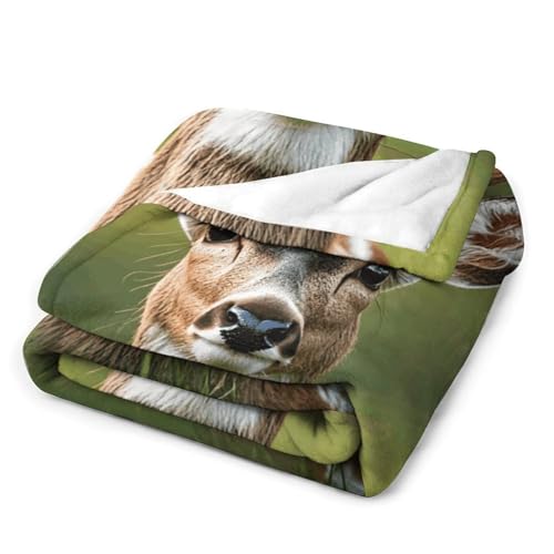 Couverture flanelle cerf mignon jeté de canapé cosy - 4