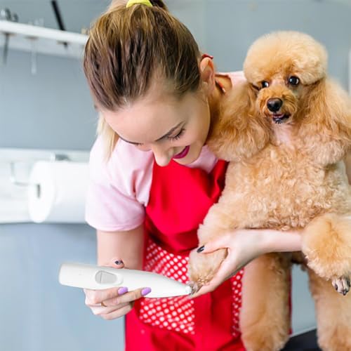 Image of HASTHIP Cat Dog Trimmer for Paw, Small Area Hair Trimmer & Nail Grinder | With LED Light, Low Noise, USB Rechargeable, Pen Shape Design, 2 Interchangeable Bits, Pen Shape Design