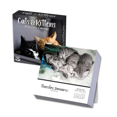 TURNER PHOTOGRAPHIC Cats & Kittens Photo Box Calendars (26998053101)
