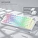 Pudding Keycaps, White PBT Keycaps 60 65 75 100 Percent, 130 Keys Shine Through Key Cap OEM Profile for MX-stem Switches Keyboard-White