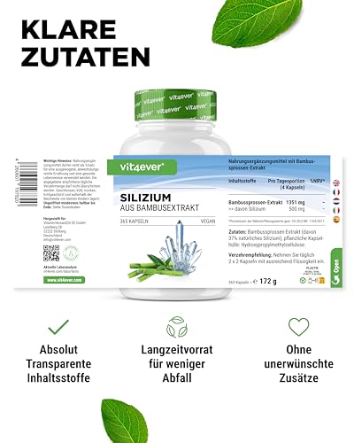 Silizium-Kapseln Vit4Ever – 365 Kapseln mit 500 mg organischem Silizium