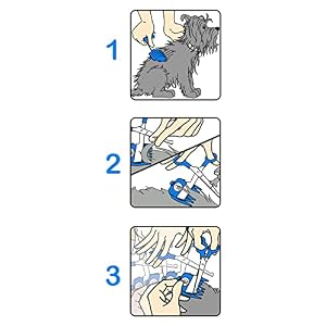 SCAREDY CUT Silent Pet Grooming Kit for Dogs, Cats and all Pet Grooming - A Quiet Alternative to Electric Clippers for Sensitive Pets (Right-Handed Blue) SCAREDY CUT Silent Pet Grooming Kit for Dogs, Cats and all Pet Grooming – A Quiet Alternative to Electric Clippers for Sensitive Pets (Right-Handed Blue)