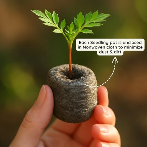 Image of Bombay Greens Organic Netted Cocopeat Coir Discs Seeds Germination pellets Coin Seedling Tray for Plants Indoor and Outdoor Gardening - Pack of 25 Coco Discs