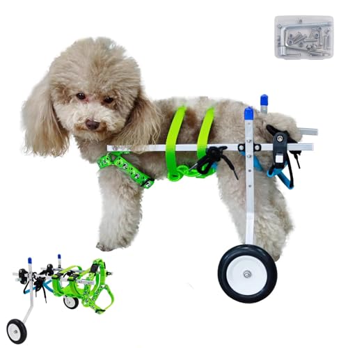Silla de ruedas para perros y gatos pequeños: soporte de rehabilitación para paseos