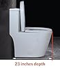 WinZo WZ5089WB Small Toilet One Piece Deisgn With Black Push Button Dual Flush,23 inch Length for Tiny Bathroom,White