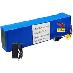 Batería De Litio para Bicicleta Eléctrica De 60V De Alta Potencia 20AH con Placa De Protección BMS Y Cargador para Bicicleta Eléctrica De 250W/500W/Go-Kart 60V 20Ah,XT60 Plug