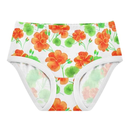 Girls Underwear Toddlers 2t Cotton Panties Little Girl Artistic Briefs Undies Kids Geranium Flowers Green Pink