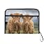 Cattle Highland Cow