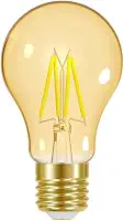 Lâmpada LED Filamento Vintage Autovolt E27, 4W, Ambar Taschibra A60 11080378