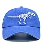 Hatwell Boys' Skull Dinosaur Hat, Embroidered Dino Washed Adjustable Baseball Cap for Kids Age 2-11, Blue #2