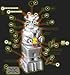 Lost in Space - Robot Photoetch & Decal Set - PGX124