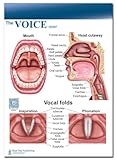 Blue Tree Publishing Voice and Larynx Anatomical 2 Sided Writing Pads, Paper pad,-50 Sheets, Vocal Folds, Sound,-8.5x11
