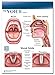 Voice and larynx Tablet-50 Sheets Per Tablet-1 Tablets Per Package-8 1/4"w, 11 5/8"t