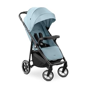 Hauck Kinderwagen Shop N Care, Klappbuggy bis 25 kg mit Liegefunktion, Getränkehalter und Snack Tablett, Klein Zusammenklappbar, Sonnenverdeck (UPF 50+), XL Korb (Dusty Blue)