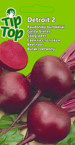 Nojaus Seklos Ensemble de graines de légumes de qualité supérieure - 16 variétés pour jardin et balcon - Taux de germination élevé, culture facile – vue 5