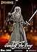 Beast Kingdom The Lord of The Rings: Gandalf The Grey DAH-106SP Dynamic 8-ction Heroes Action Figure