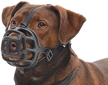 See full amazon price history chart for Kruuse Extreme Muzzle for Dogs (M) Kruuse Extreme Muzzle for Dogs (M) (B0981199BV) Amazon Price History, Amazon Price Tracker