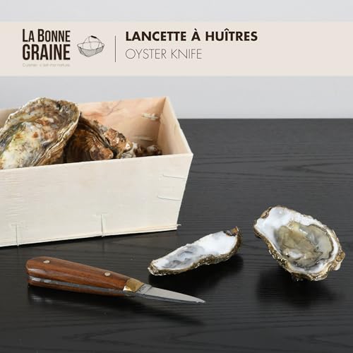 La Bonne Graine Louis Tellier N4172 Austernlanzette, Braun und Silber